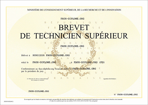 Exemple de diplôme BTS