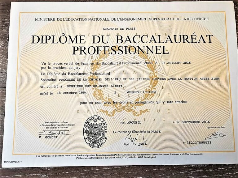 Exemple de diplôme Baccalauréat professionnel